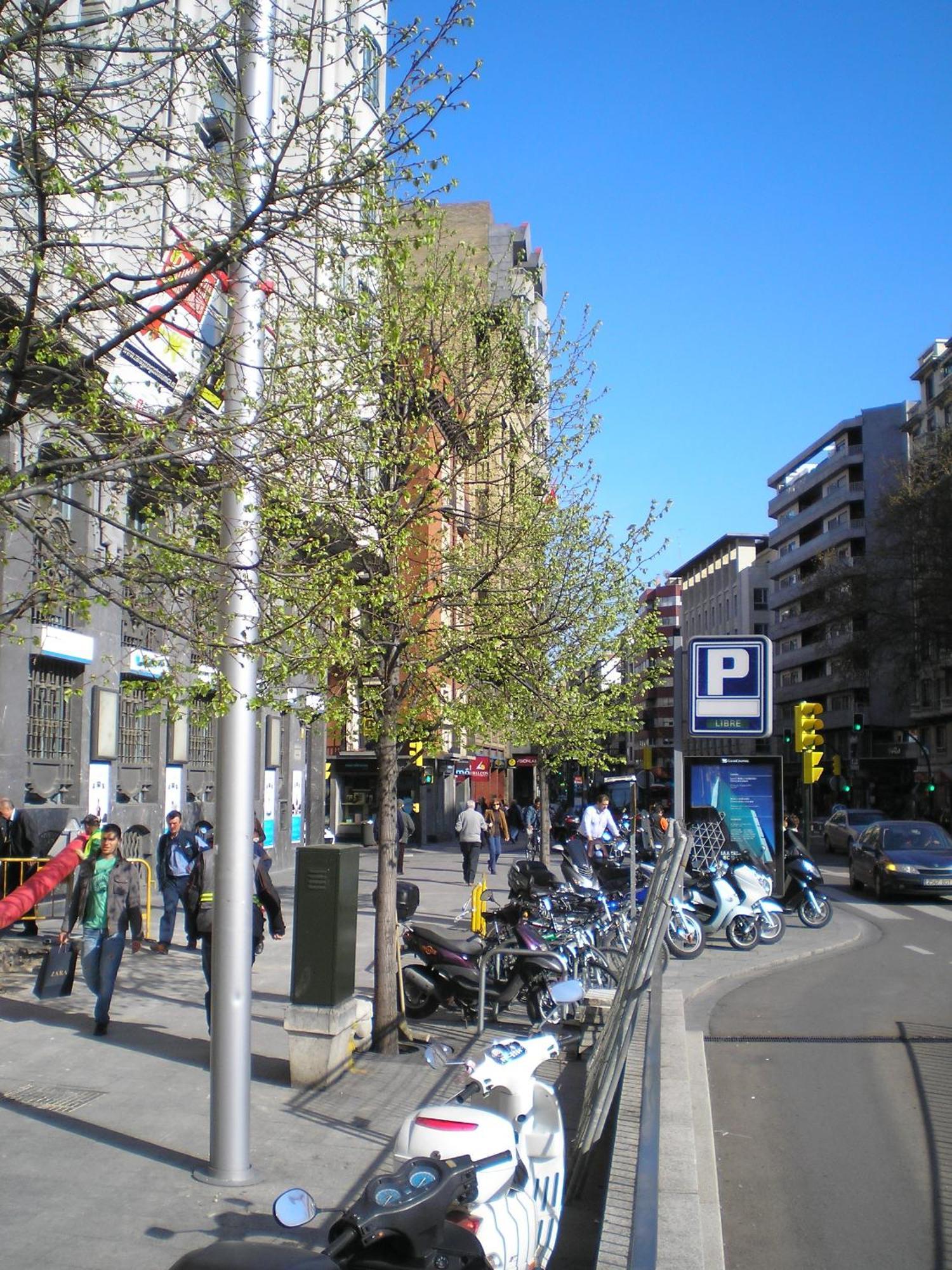 Apartamentos Plaza Espana Deluxe 사라고사 외부 사진